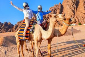 camel ride in dubai desert safari