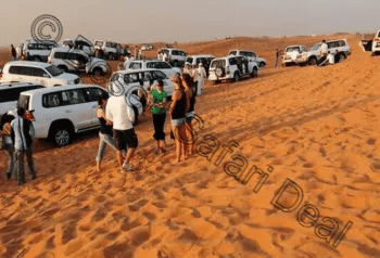 Desert Safari Deal WM